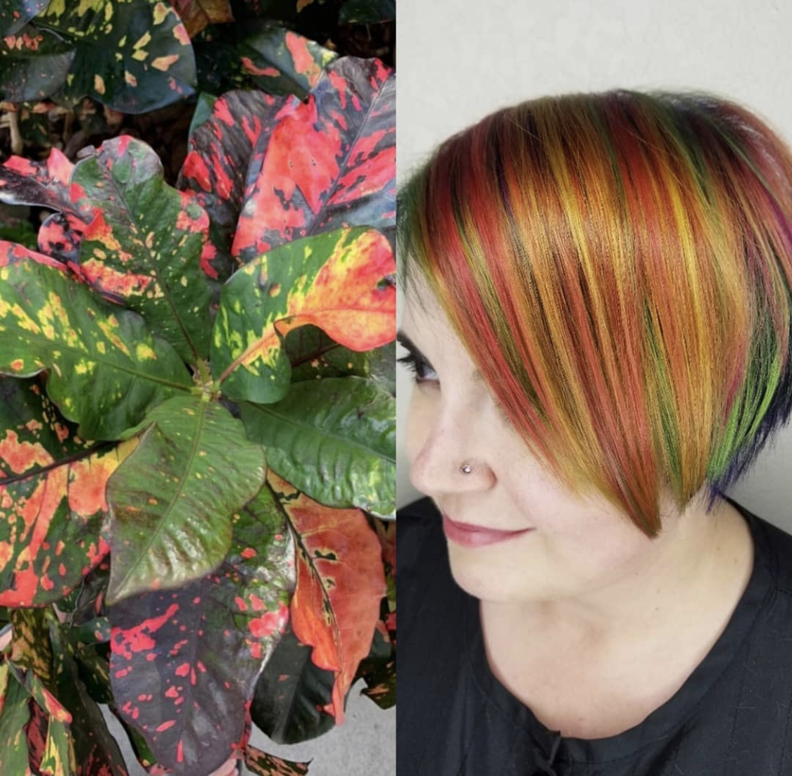 hair by sarah keene beauty boss salon image nine of rainbow colorful perfect hair